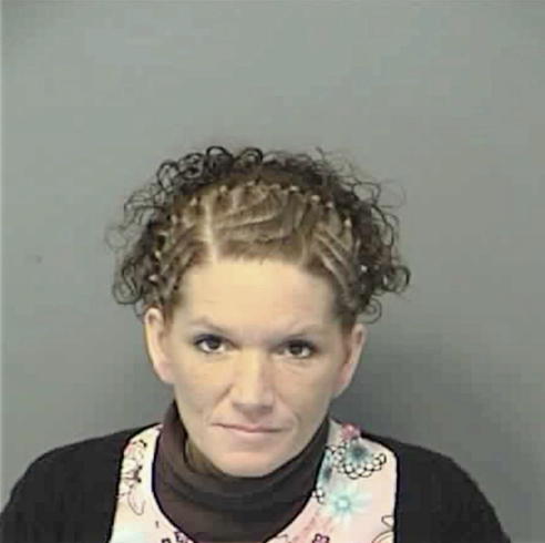 JOHNSON, LISA MICHELLE - Peoria County, IL