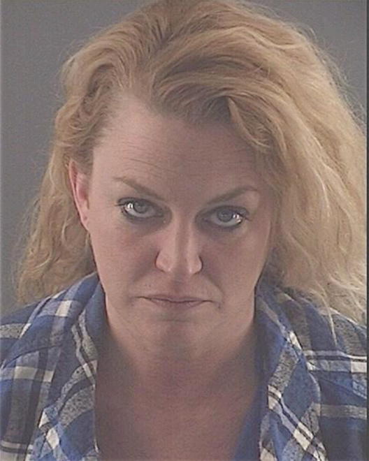 WEBB, PAULA NICOLE - Peoria County, IL