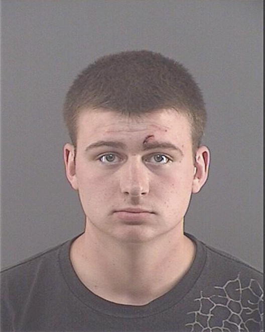 STARNES, BRANDON C - Peoria County, IL
