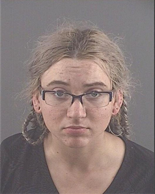 LARSSON, VICTORIA L - Peoria County, IL
