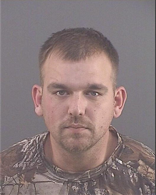 NELTNER, BOBBY D - Peoria County, IL