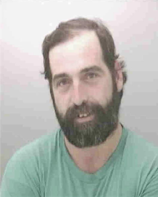 DAUM, ROBERT NEAL, IL