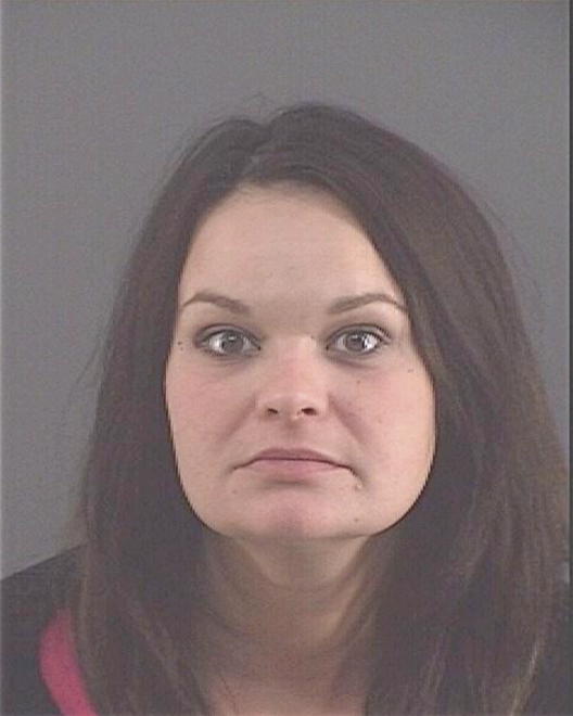 TONKIN, SHANNON N - Peoria County, IL
