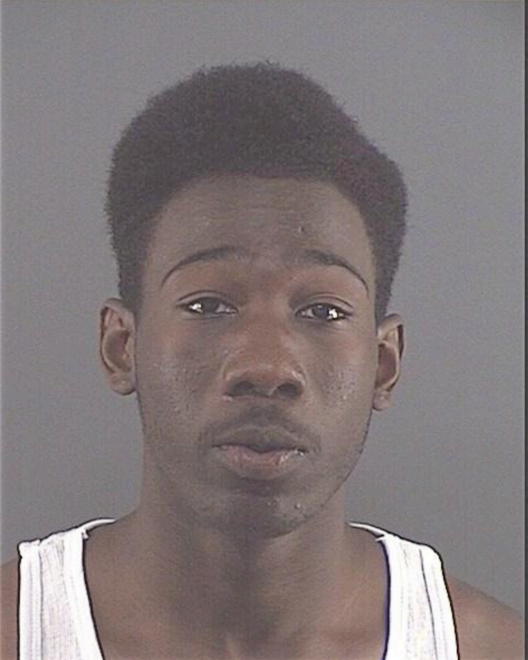 POLNITZ, ANTHONY J - Peoria County, IL