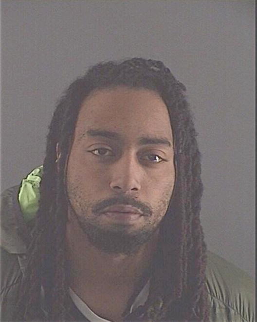 WILLIAMS, DAMION M - Peoria County, IL