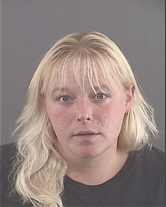 LAWSON, AMBER NICOLE - Peoria County, IL