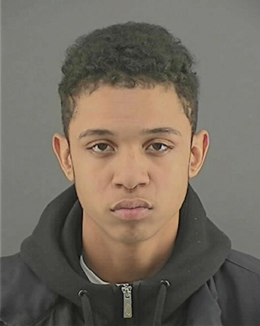 WILLIAMS, TERRANCE DARNELL - Peoria County, IL