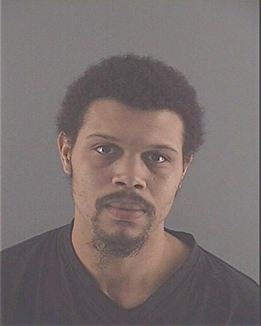 WILLIAMS, ANTON SIVAD - Peoria County, IL