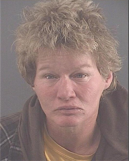 POWELL, TONYA LYNN - Peoria County, IL