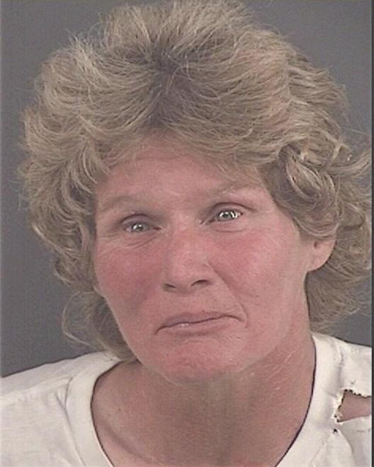 POWELL, TONYA LYNN - Peoria County, IL