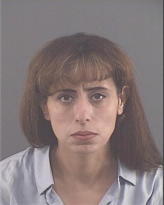 HAJ, WAFA B - Peoria County, IL