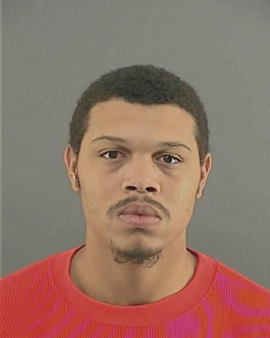WILLIAMS, ANTON SIVAD - Peoria County, IL