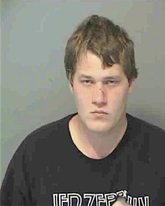 FEIST, JOSHUA DANE - Peoria County, IL