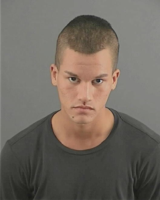 PALOMARES, LEONARD TAYLOR - Peoria County, IL