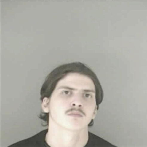 PURTLE, LUCAS O - Peoria County, IL
