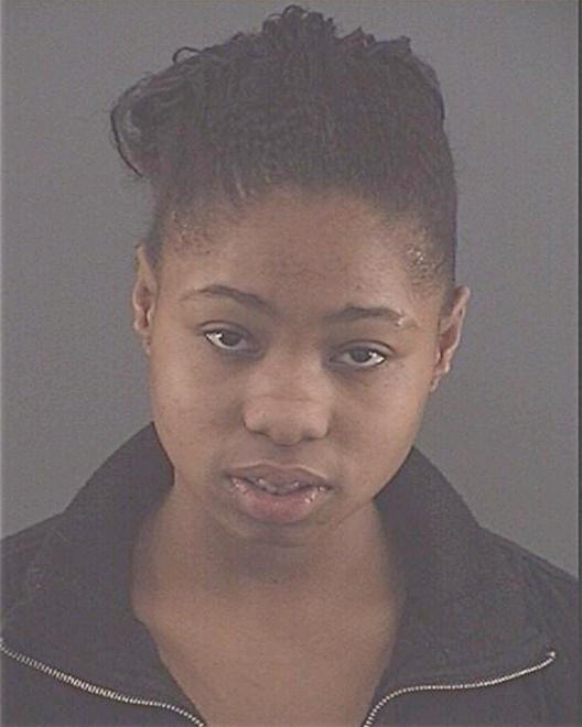 WEBSTER, MACHAEL A - Peoria County, IL