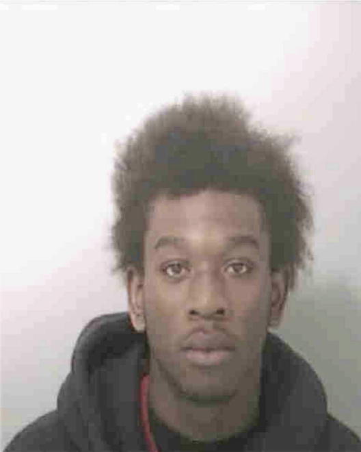 PANNELL, NICHOLAS PEAIR - Peoria County, IL