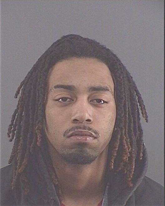 WILLIAMS, DAMION M - Peoria County, IL