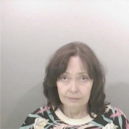 JOHNSON, JANET JO - Peoria County, IL