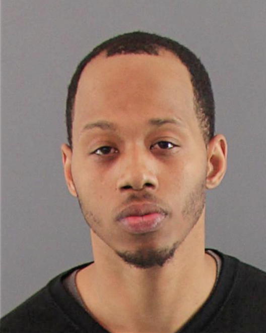 POLNITZ, BRANDON J - Peoria County, IL