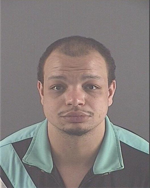 MATA, MICHAEL ANTHONY - Peoria County, IL