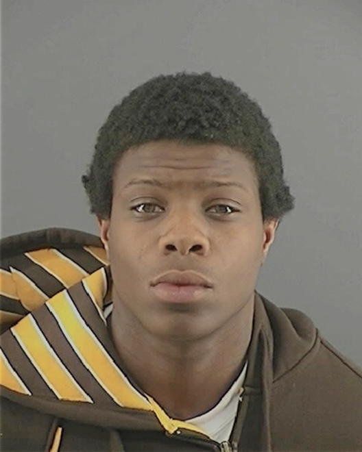 MCNEAL, MICHAEL ANTHONY - Peoria County, IL