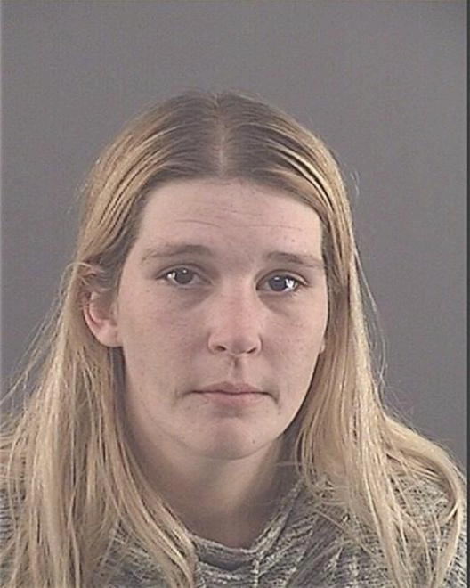 LASHBROOK, NICOLE LYN - Peoria County, IL