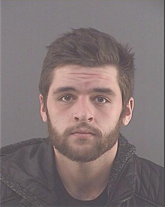 MITZELFELT, ADAM C - Peoria County, IL