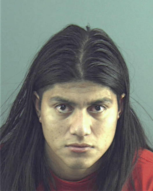 SEBA-SINACA, JESUS - Peoria County, IL