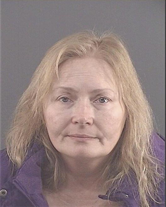 SKALNIK, LISA ANN - Peoria County, IL