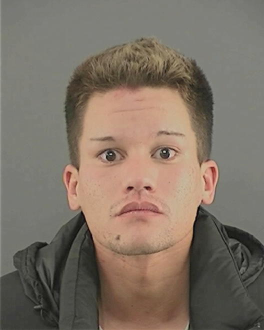 PALOMARES, LEONARD TAYLOR - Peoria County, IL