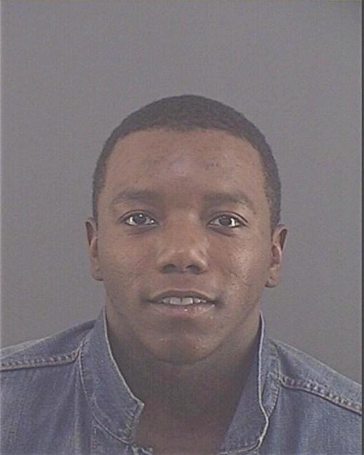 WILLIAMS, DONTE L - Peoria County, IL