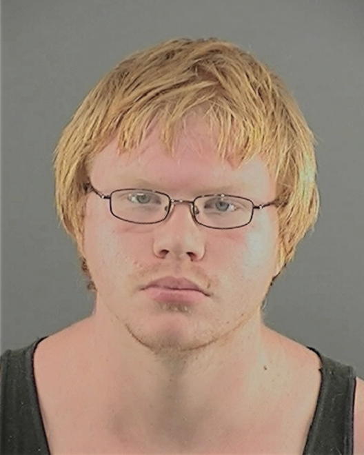WILLIAMS, KRYSTOPHER - Peoria County, IL