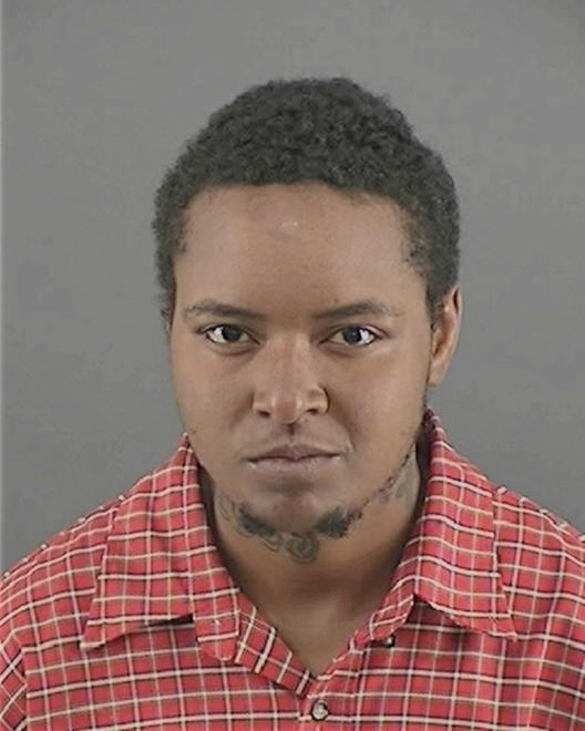 NICKERSON, LATOYA LYNN - Peoria County, IL