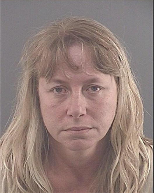 LEE, DENISE MARIE - Peoria County, IL