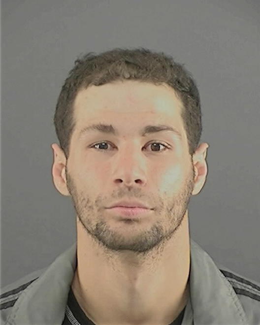SEPULVEDA, ROBERT JOHN - Peoria County, IL