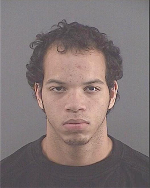 MERRIMAN, TYLER N - Peoria County, IL