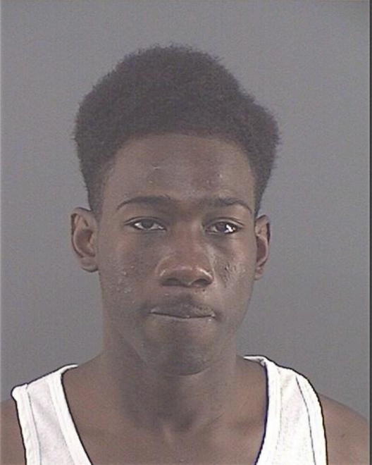 POLNITZ, ANTHONY J - Peoria County, IL