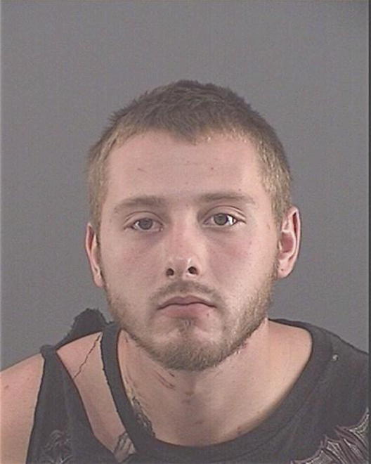 WOLFE, TYLER W - Peoria County, IL
