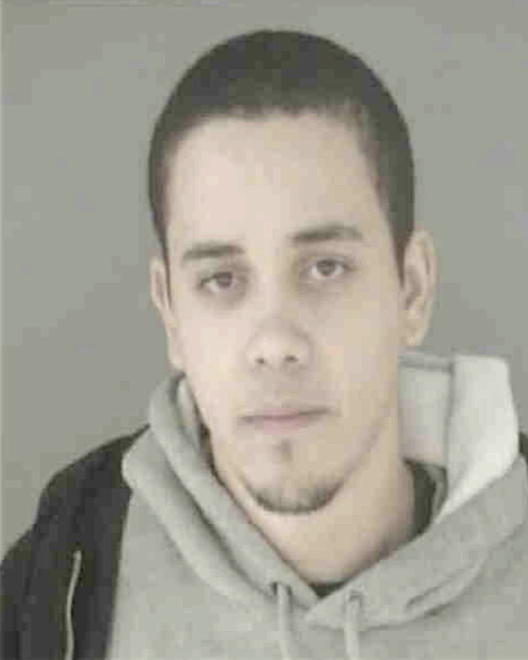 JOHNSON, JOSHUA WILLIAM - Peoria County, IL