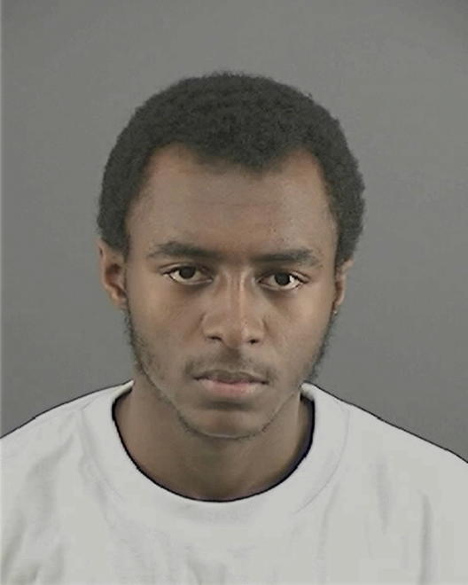 ERVING, DAZMINE MARTELL - Peoria County, IL